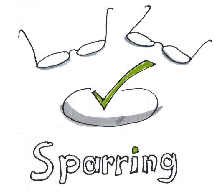 Icon_Sparring
